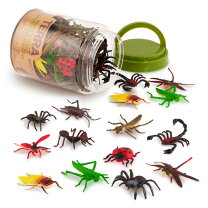 楽天市場】insect collection☆ てんとう（インセクトコレクションの通販
