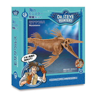 GEOWORLD @Lbg TTEX {pbP[W CL1684KJ Ki