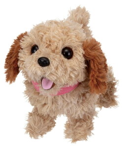 C(IWAYA) ꂵoNnc! łނ RbJv[ ST}[NF 3ˈȏ drœʂ