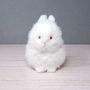 �����f�U�C�������� �킽�� �ʂ������ �䂫������