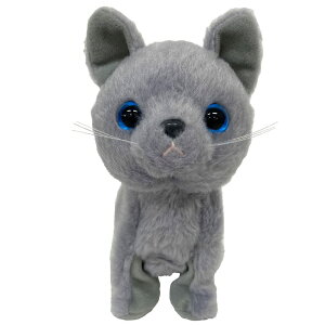 yBESTEVERz drœʂ   EH[LOXC[gps[ L VAu[ Russian Blue 49082