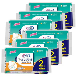 Ct[ 炭炭ӂ gCɗ 864i72×2×6j {  lp ҁmP[Xin