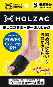 HOLZAC zUbN O T|[^[ VR e[sO `OȈďC ^  ȒP 퐶 ubN S