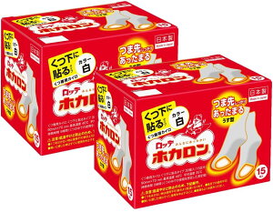 [zJ] ܂Ƃߔ p \ JC  30i15×2jyJC/{z C  ͂