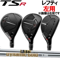 楽天市場】dynamic gold amt x100の通販