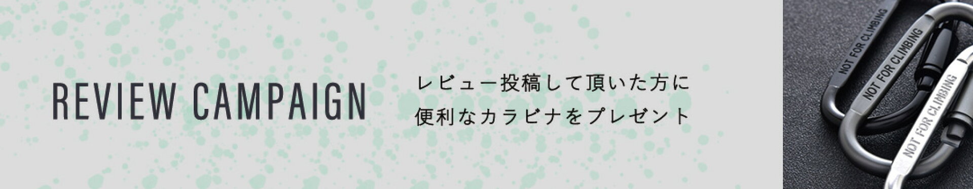 レビュー