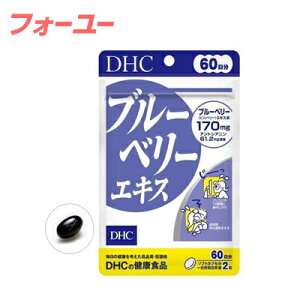 DHC@u[x[GLX@60@120@4511413401972