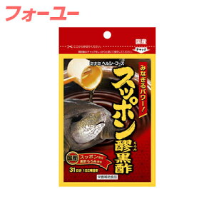 Xb|Ёy݁z| 31 62y񂹕iz@4945904017982