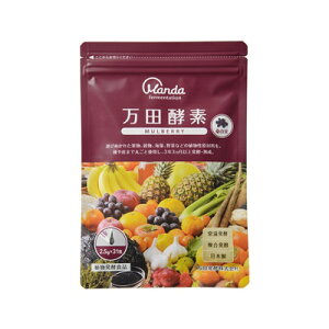 cyf@MULBERRY@}x[@^Cv@2.5g×31@4909882100388