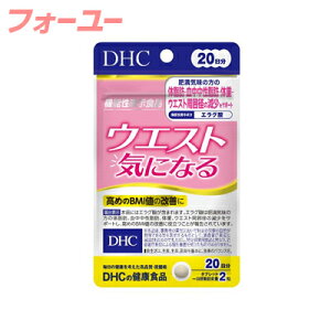 DHC EGXgCɂȂ 20(40) 4511413406267