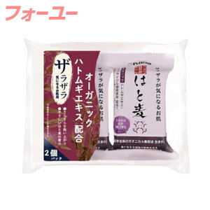 yJRh΂ ͂Ɣ 100g2@4976631479484