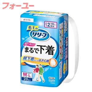 [t ܂ŉ  pc^Cv 2 M-L@20@4901301441607