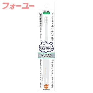 IWPA t炵 X[p[RpNg 1{@4987379007938