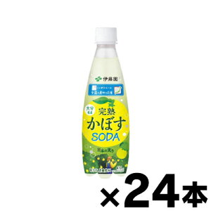 ɓ jb|G[ nڂSODA 啪Y PET 410ml×24{ is@4901085660386*24