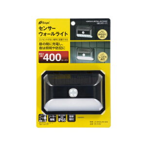 �I�[���d�@ �Z���T�[�E�H�[�����C�g�i����+�l���Z���T�[/400 lm/�\�[���[���d��/�����F/�ی쓙��IP65/�u���b�N�j�������񂹕i�@4971275651821
