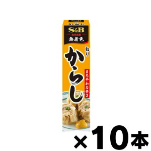 GXr[Hi@˂肩炵 43g×10{@4901002066567*10