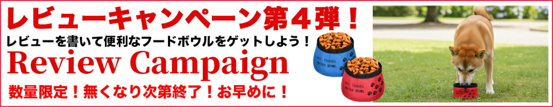 レビューキャンペーン第４弾！フードボウルプレゼント