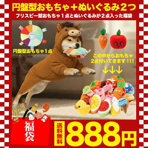 _NNnI2025N-2026N܁^ ʌI L ybgp ybg  gC  Zbg pi ~ tXr[ ʂ ɂ񂶂 {[   