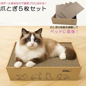 L ܂Ƃ L܂Ƃ Lp܂Ƃ i{[ _{[ 5Zbg L̒܂Ƃ Lpi{[ ߂Ƃ Lxbh Lbgxbh ߂Ƃ 芷p܌ ʎg ʎg XNb`