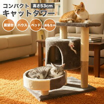 楽天市場】爪とぎ（適正猫種シャム）（キャットタワー｜猫用品 