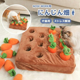ノーズワーク にんじん 人参 ペット おもちゃ にんじん畑 犬 ノーズワーク 犬 おもちゃ 知育玩具 ペット プレゼント 犬用品 犬用おもちゃ ペット 用品 マット ペット プレゼント 噛むおもちゃ ストレス解消 ペット 遊び 人参 猫 ペット玩具
