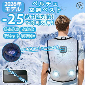 水冷ベスト ペルチェ素子」の人気商品一覧・価格比較 - 価格.com