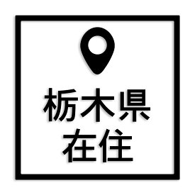 栃木県 カッティング ステッカー シール 県外ナンバー 在住 イタズラ防止 防水 車