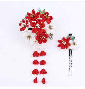 ay ܂ݍ׍H 2_Zbg Iׂ4J[zl ܂ݍ׍H wAANZT[ [v l U  a a Ǝ  ԉ EFfBO uC_   hX w