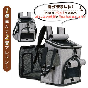 y1wŃv[gzybgbN g ybgL[ ybgL[bN ybgL[obO ybgobO ybg L[ bN obO L  ʋC y RpN