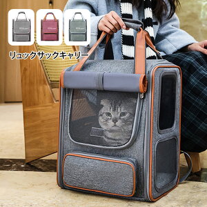 yVizy1wŃv[gzybgL[obO ܂肽 傫 bN ybgL[ obN ybgobO L[obO Lp p ybgpi ^ ^ g~O 