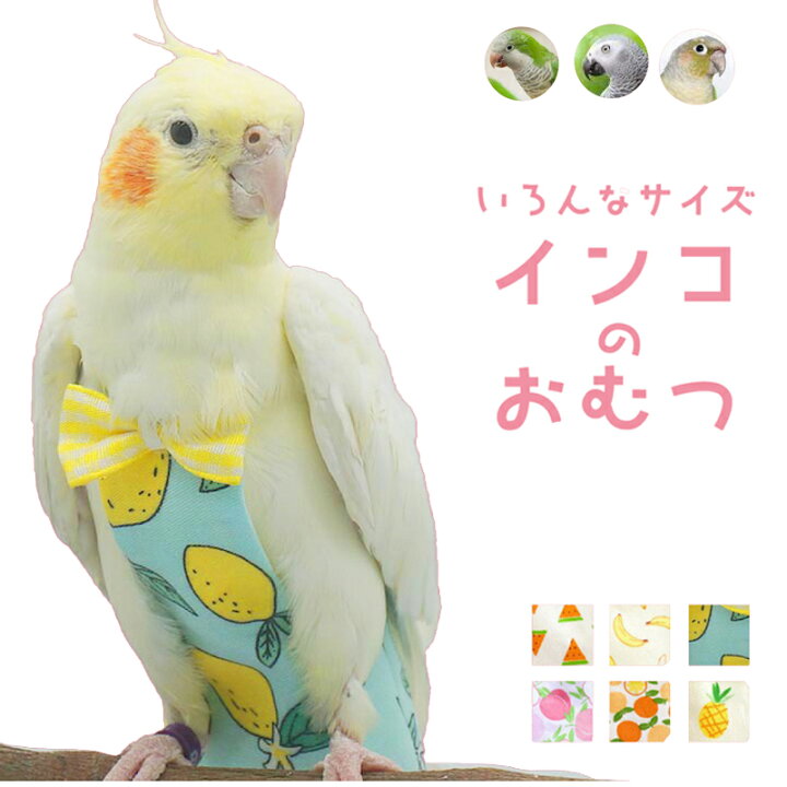 楽天市場】【2点購入+1点おまけ！】！鳥 鳥用おむつ リボン無し可能 