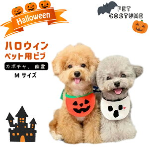 [ nEB LpX^C 悾ꂩ ru   L  ybg be nEB Halloween RXv ڂ J{` pvL 蕨 Xq 킢  U o H 