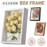 【彩る立体空間】 A4額縁 立体ボックスフレーム 深型 フォト コレクション 標本 展示 標本フレーム フォ…