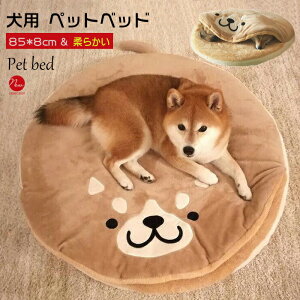 xbh ybgxbh ybg xbh p Č   ӂӂ _炩 h  a85cm hbOxbh \t@[xbh ybg\t@[ Q ybgpi ybgObY NbV