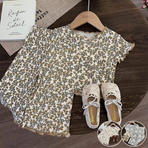 xr[ ZbgAbv LbY ̎q j̎q tVc   pc q gbvX Y{ ؍q ĕ   V  Ԃ [EFA pcZbg  pW