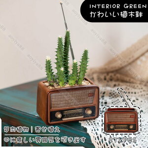 鉢 植木鉢 おしゃれ ミニ 多肉植物 寄せ植えの鉢 ラジオ レトロ 可愛い 飾り物 インテリア 植物 鉢植え プランター フラワーポット
