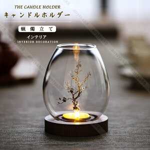 Lhz_[ LhX^h Ɏq KX C XC AeB[N u CeA Ɩ eB[Cgp  