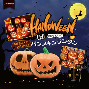 nEB  O  u CeA ڂჂ`[t J{`^Cg ^ O O LEDCg 7 dr  fR[V halloween ObY p[eB[ nEC 