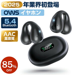 CXCz C[Jt Cz ǂȂ u[gD[X Cz Bluetooth 5.4 cʕ\ iPhone/AndroidΉ `Cz uڑ 65HAĐ Type]C[d I[vC[^ 