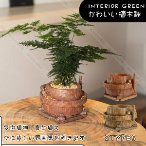鉢 植木鉢 おしゃれ レトロ 樹脂製 寄せ植え フラワーポット ガーデンポット サボテン プランター 飾り ヴィンテージ 箱庭 ガーデン