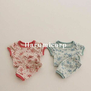 ZbgAbv LbY xr[ ̎q j̎q tVc  V[gpc q ĕ [EFA ㉺Zbg V Ԃ  pW} ؍qǂ   a o