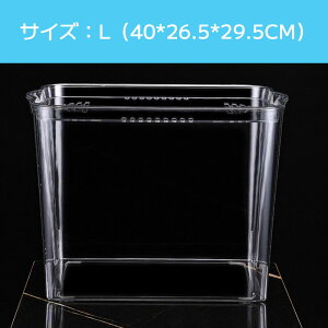 T  vX`bN AN  e ANAE Wt 琅 _J _J k͔| A͔| _Je ^    h ԕr _J e {