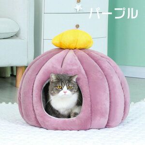 ybgnEX h[^ LnEX  L xbh }bg ybgxbh ~ g 􂦂 ~ NbVt ΍ ۉ h ybgNbV @\ 薰 Lp ~ 