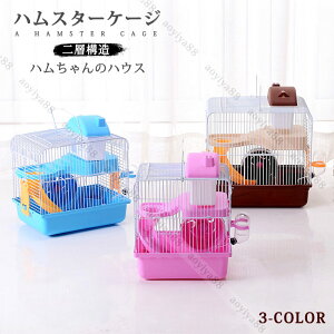 nX^[P[W nEX ñnEX nX^[   ^ѕ֗ y t ʔ   w\