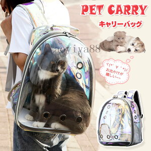 ybgpi L  L[obO bN lR jR ^ɂ  o  }bgt ybgobO s o U