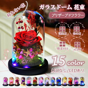 vU[uht[ KXh[ hCt[ {̉ [Y J[l[V t[  ͂Ȃ v[g zCgf[ ̓ hV̓ LO 