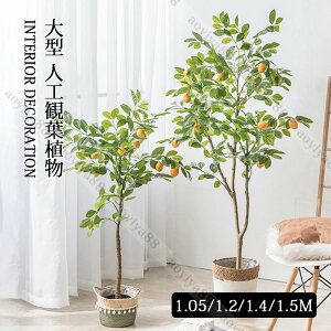 ^  lHϗtA tFCNO[ tFCNA    CeA  ϗtA A c[  j