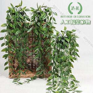  tFCNO[ t  ϗtA lH A [t   K[f Ǌ| ݂艺 Vz 