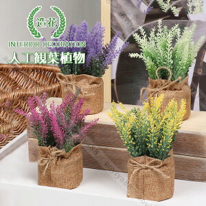  x_[  tFCN  ̔t  CeA     u ~j A 蕨