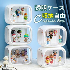 RNV {bNX [ NAP[X WP[X RNVP[X ςݏdˉ\ t i gݗĎ  AN P[X l`P[X {bNX RNVP[X R